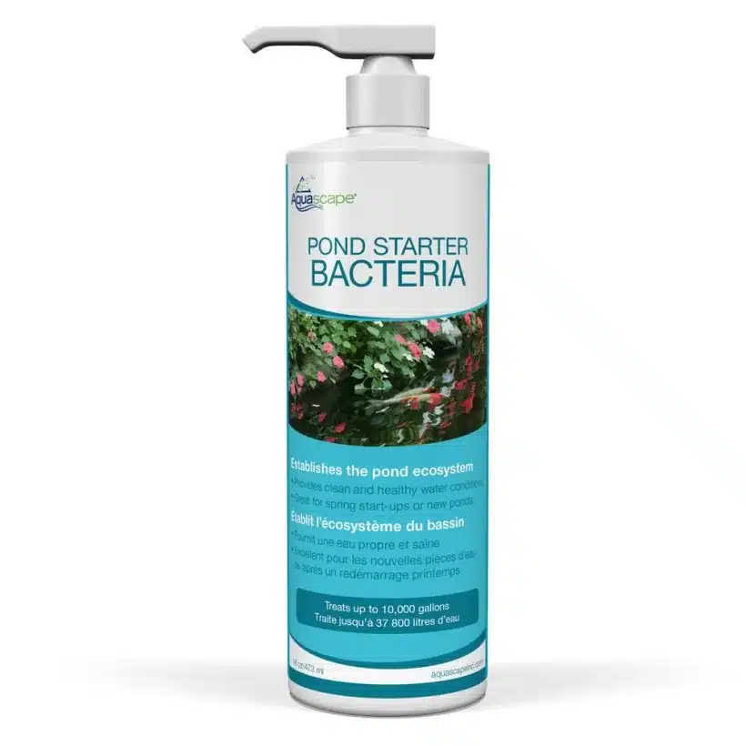 Pond Starter Bacteria, 8 oz.