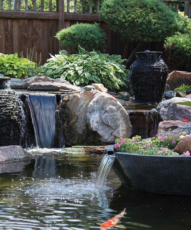 Pond Filters Pond Filters