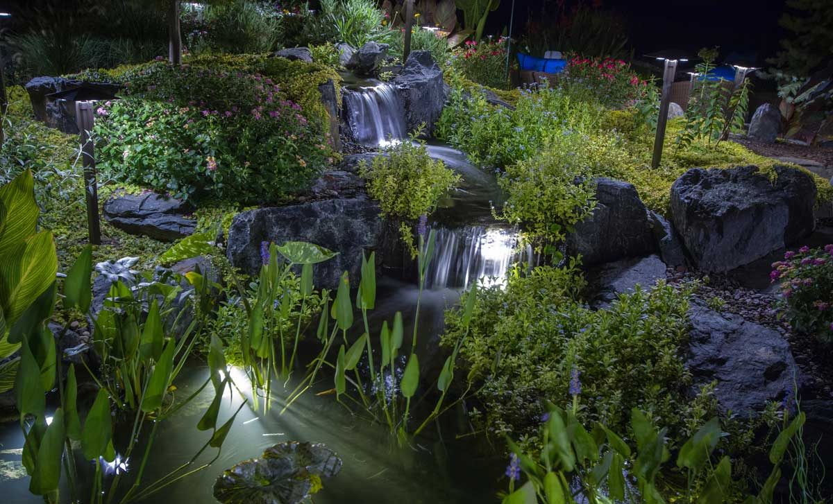 Pond Lights Pond Lights