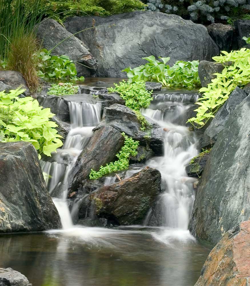 Pond Pumps Pond Pumps