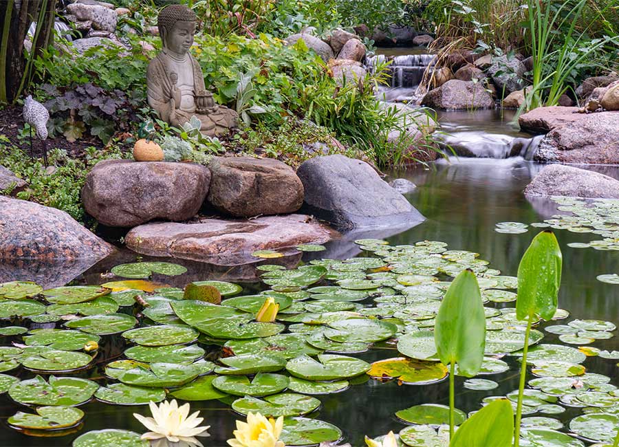 Pond Skimmers Pond Skimmers
