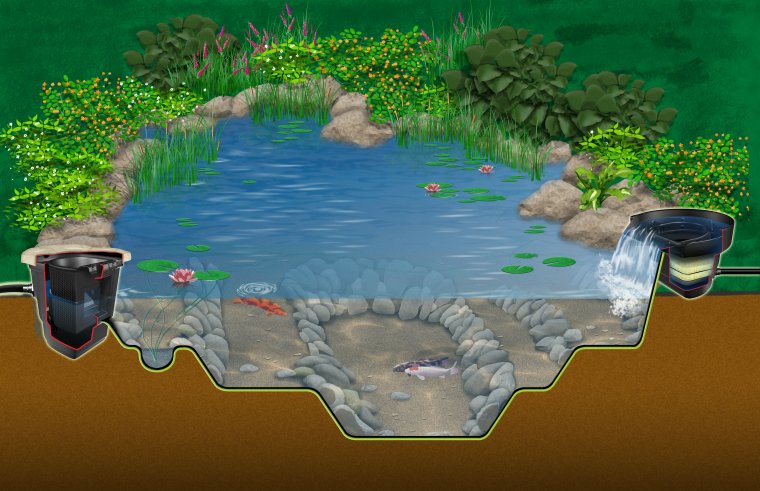 ecosystem-pond-diagram ecosystem-pond-diagram